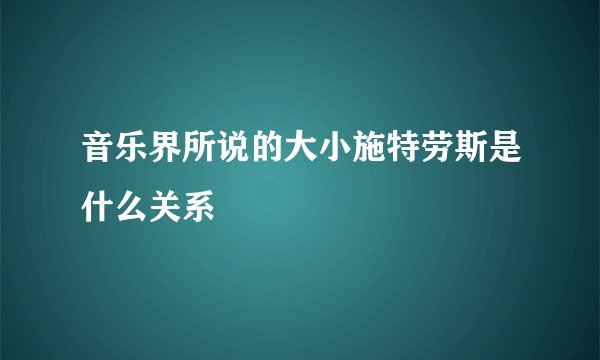 音乐界所说的大小施特劳斯是什么关系