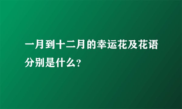 一月到十二月的幸运花及花语分别是什么？