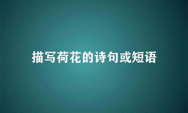 描写荷花的诗句或短语