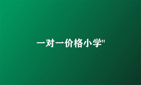 一对一价格小学