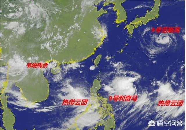 今年第5号、6号台风几乎同时生成，台风形成的原因是什么？