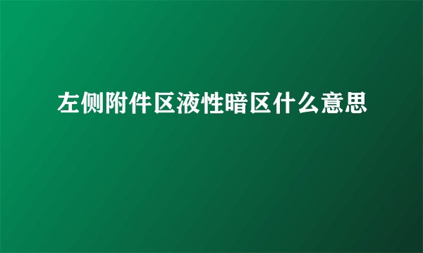 左侧附件区液性暗区什么意思