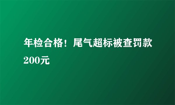 年检合格！尾气超标被查罚款200元
