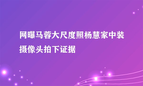 网曝马蓉大尺度照杨慧家中装摄像头拍下证据