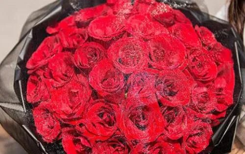 999朵玫瑰花代表什么 玫瑰花送几朵代表什么