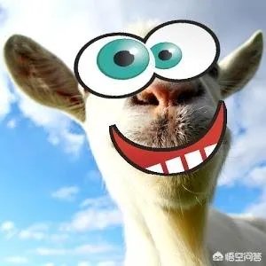 相亲结婚的都过得好吗?