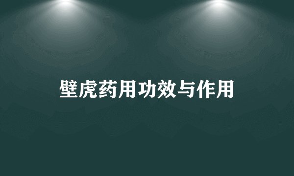 壁虎药用功效与作用