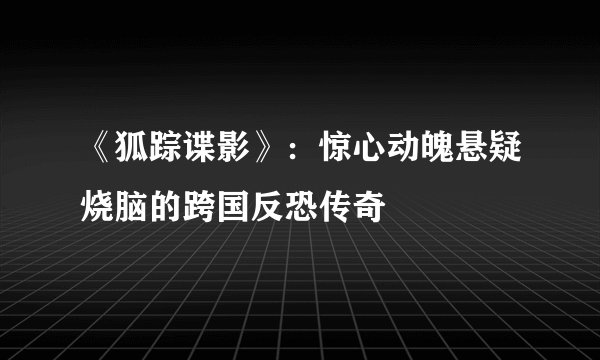 《狐踪谍影》：惊心动魄悬疑烧脑的跨国反恐传奇