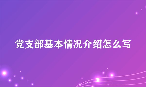 党支部基本情况介绍怎么写