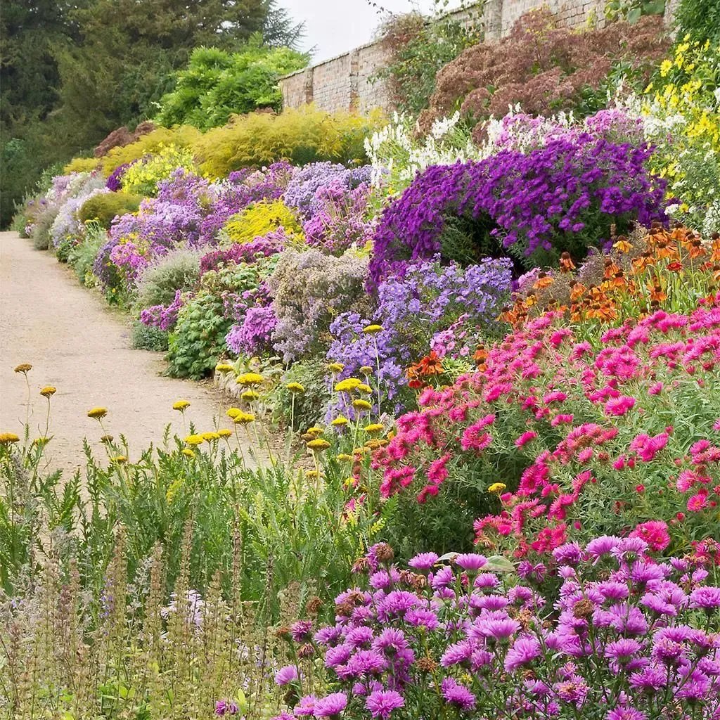原创:花境按植物材料的分类及各自优缺点