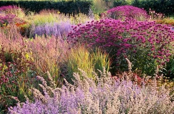 原创:花境按植物材料的分类及各自优缺点