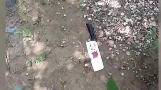 三把菜刀从天而降:是谁扔的菜刀及背后真相