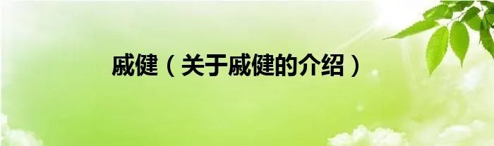 戚健（关于戚健的介绍）