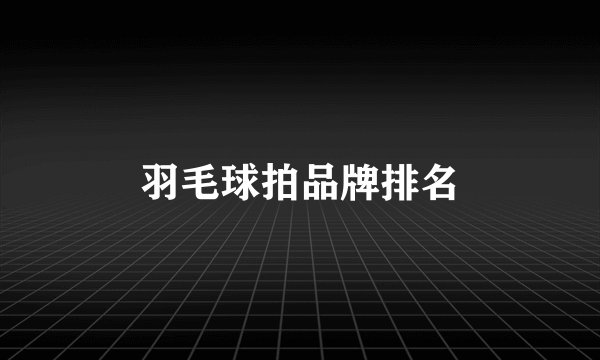 羽毛球拍品牌排名