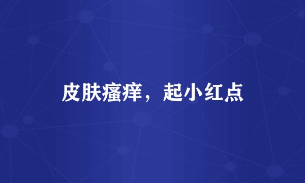 皮肤瘙痒，起小红点