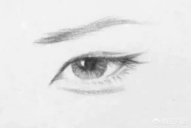 丹凤眼明星