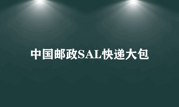 中国邮政SAL快递大包