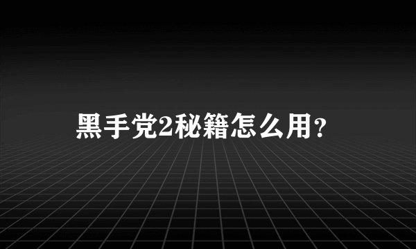 黑手党2秘籍怎么用？