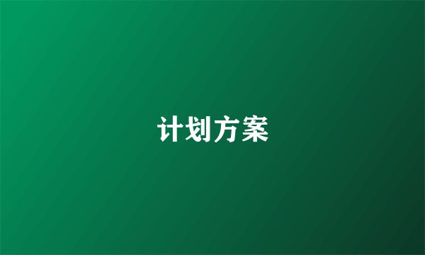 计划方案