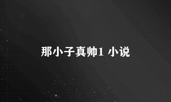 那小子真帅1 小说