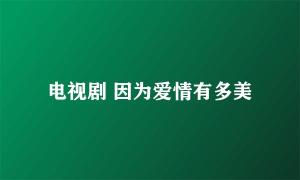 电视剧 因为爱情有多美