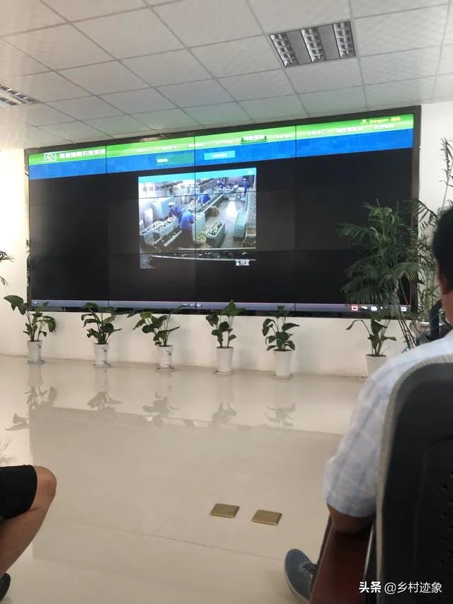 提高农业劳动生产率有哪些重要意义?