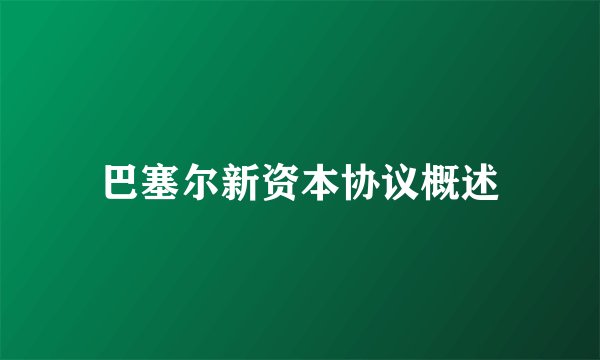 巴塞尔新资本协议概述