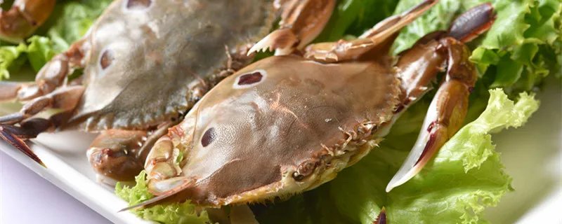 梭子蟹蒸多久是最佳时间 梭子蟹蒸多久最好