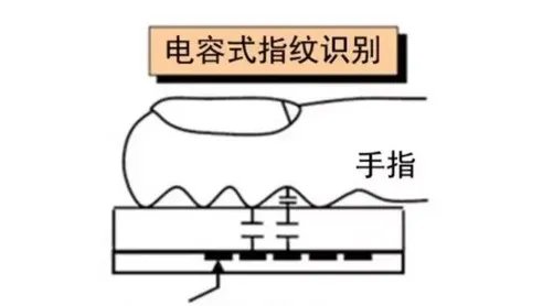 一文看懂三大指纹识别原理 光学屏幕指纹强在哪