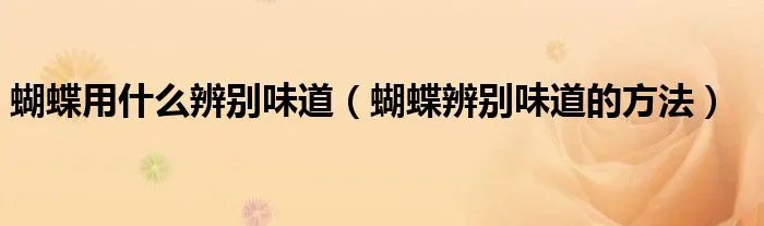 蝴蝶用什么辨别味道(蝴蝶辨别味道的方法)