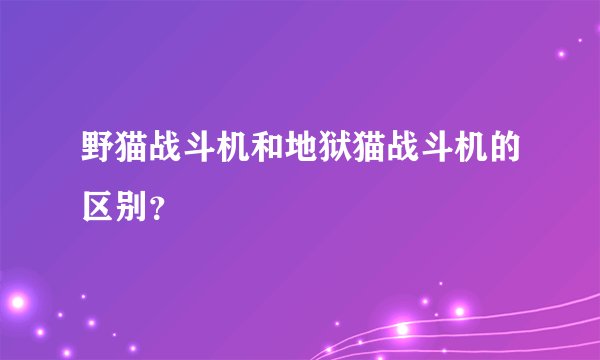 野猫战斗机和地狱猫战斗机的区别？