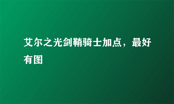 艾尔之光剑鞘骑士加点，最好有图