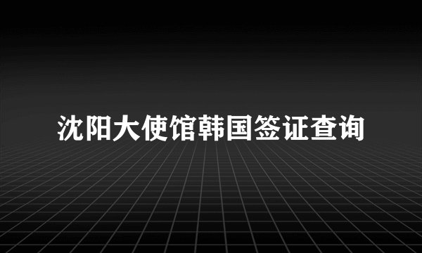 沈阳大使馆韩国签证查询