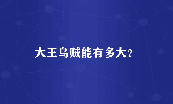 大王乌贼能有多大?
