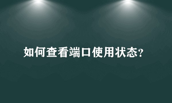 如何查看端口使用状态？