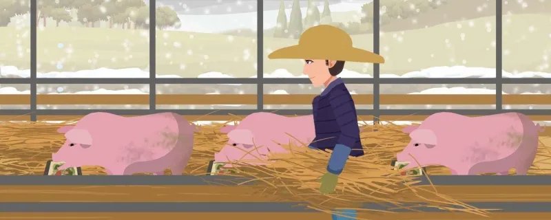 猪饲料排行榜