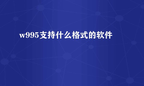 w995支持什么格式的软件