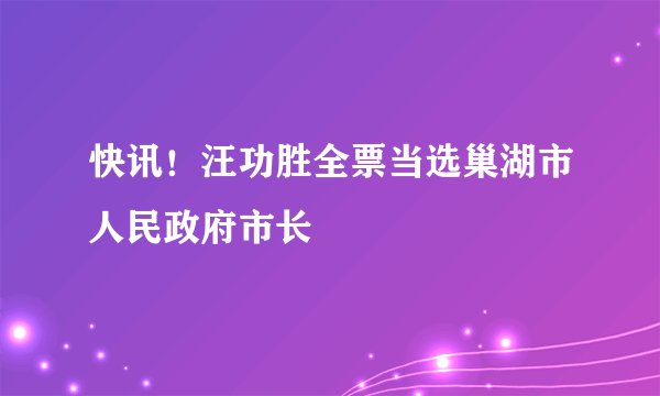 快讯！汪功胜全票当选巢湖市人民政府市长