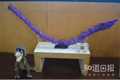 我们是怎样在琥珀里发现恐龙尾巴的?