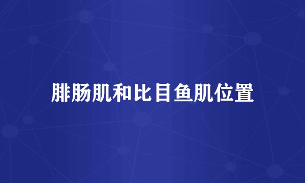 腓肠肌和比目鱼肌位置