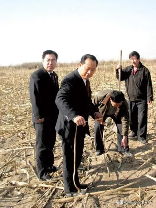 怎么用土法丈量不规则的田土面积?