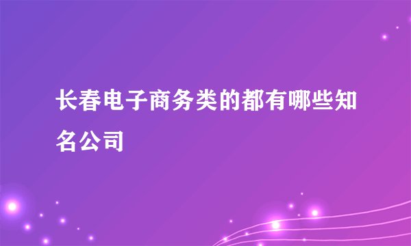 长春电子商务类的都有哪些知名公司