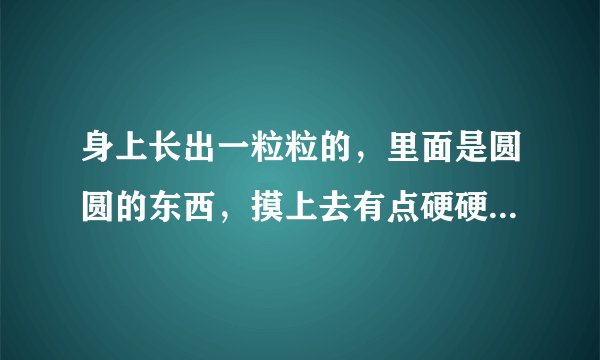 身上长出一粒粒的，里面是圆圆的东西，摸上去有点硬硬...
