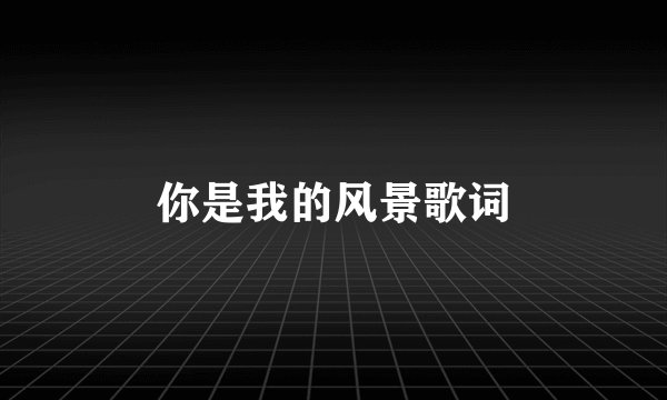 你是我的风景歌词