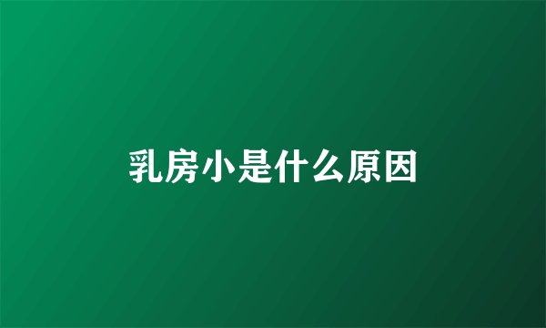 乳房小是什么原因