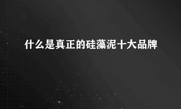 什么是真正的硅藻泥十大品牌