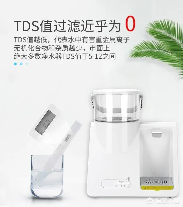 《海王》里有哪些很难发现的彩蛋?
