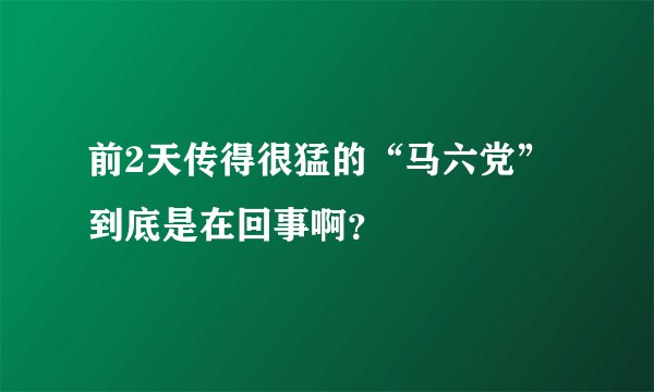 前2天传得很猛的“马六党”到底是在回事啊?