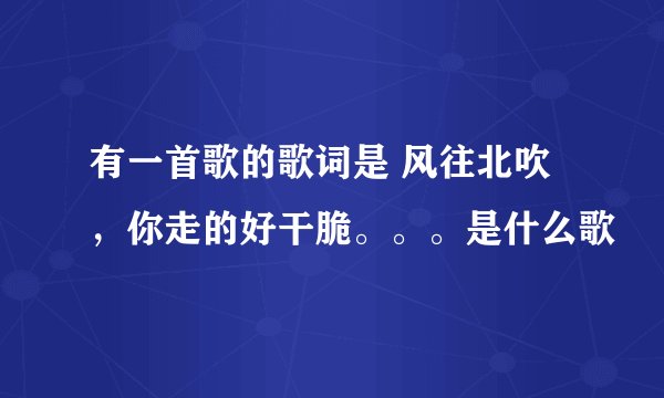 有一首歌的歌词是 风往北吹 ，你走的好干脆。。。是什么歌