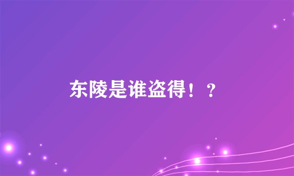 东陵是谁盗得!?